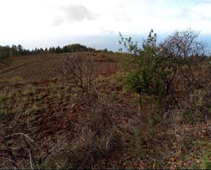 Außenansicht von Grundstücke zum verkauf in Santa Cruz de la Palma