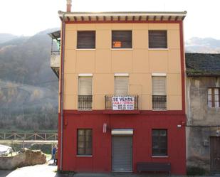 Exterior view of Single-family semi-detached for sale in Mieres (Asturias)