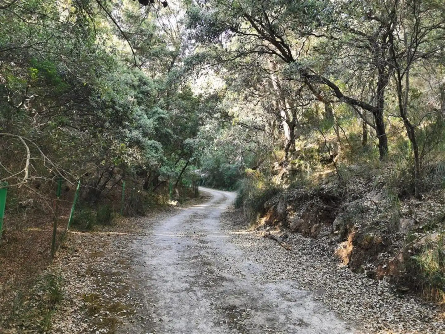 Exterior view of Non-constructible Land for sale in Puigpunyent