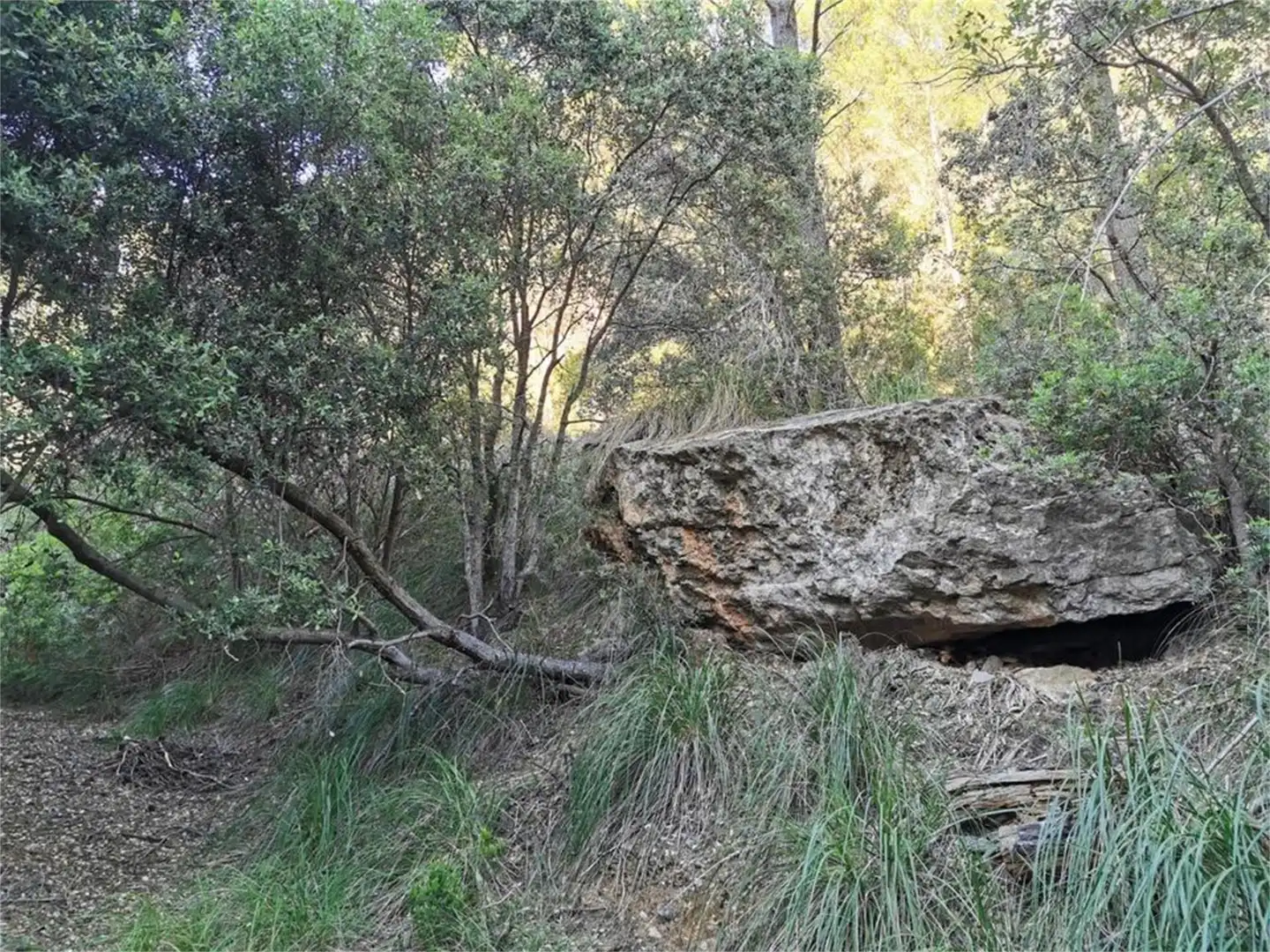 Exterior view of Non-constructible Land for sale in Puigpunyent