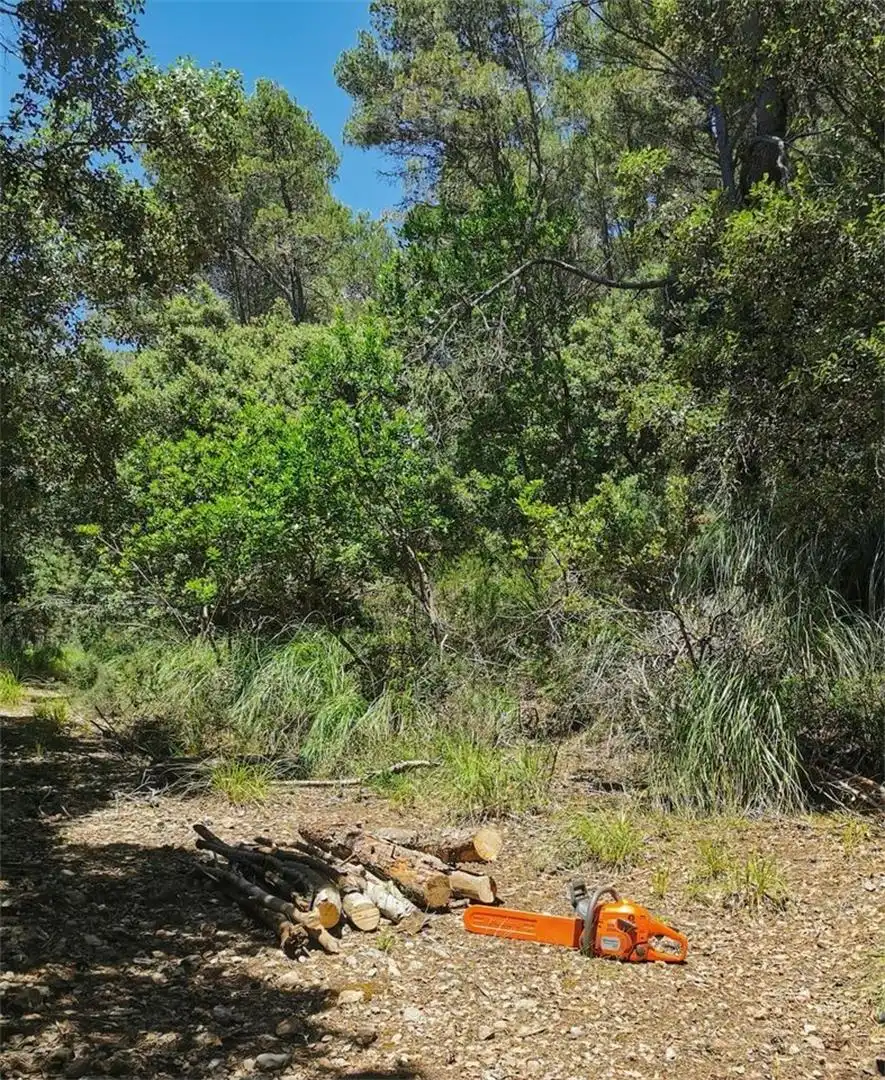 Non-constructible Land for sale in Puigpunyent