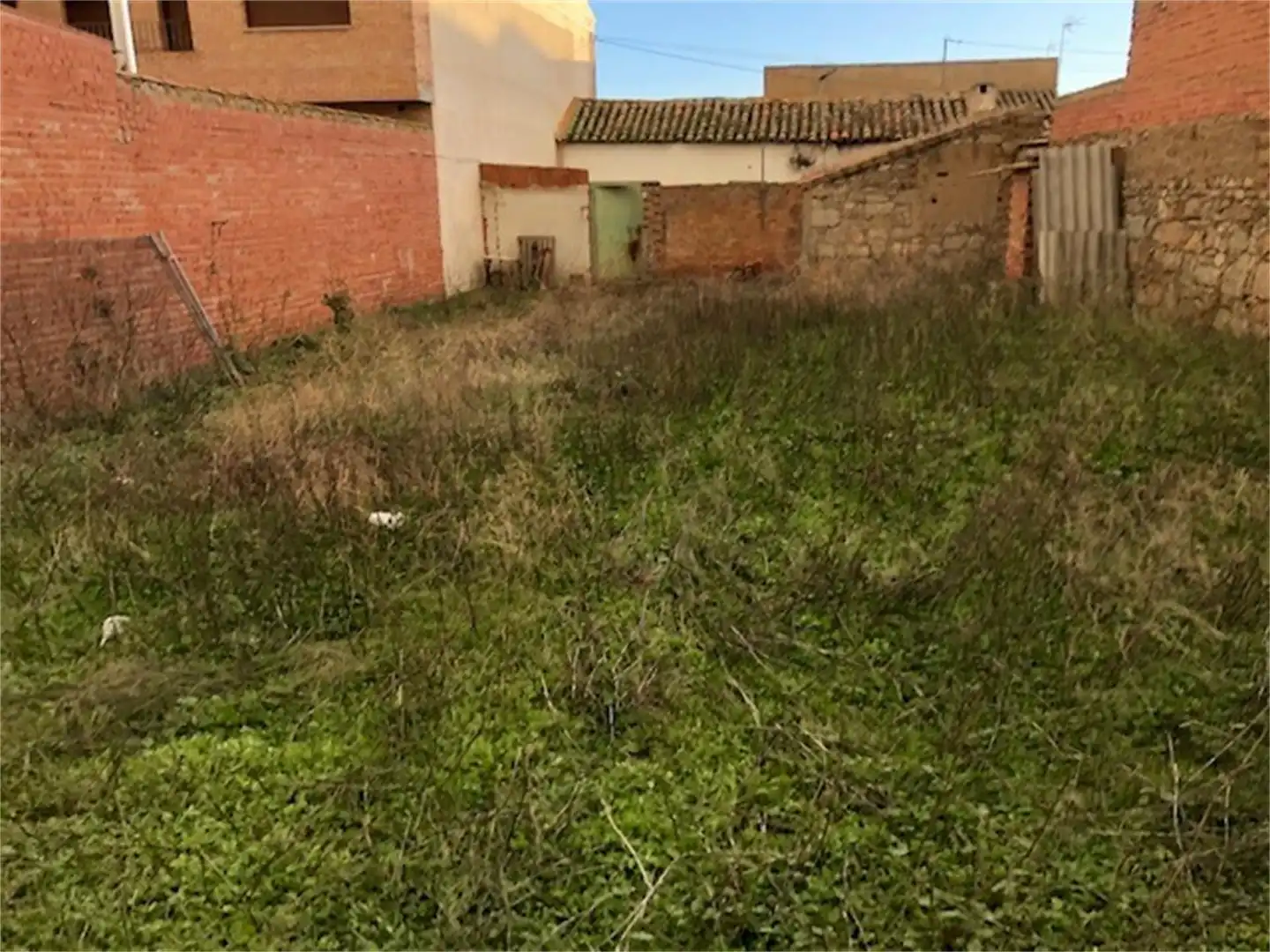 Land for sale in Cuerva