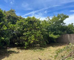 Constructible Land for sale in San Cristóbal de la Laguna