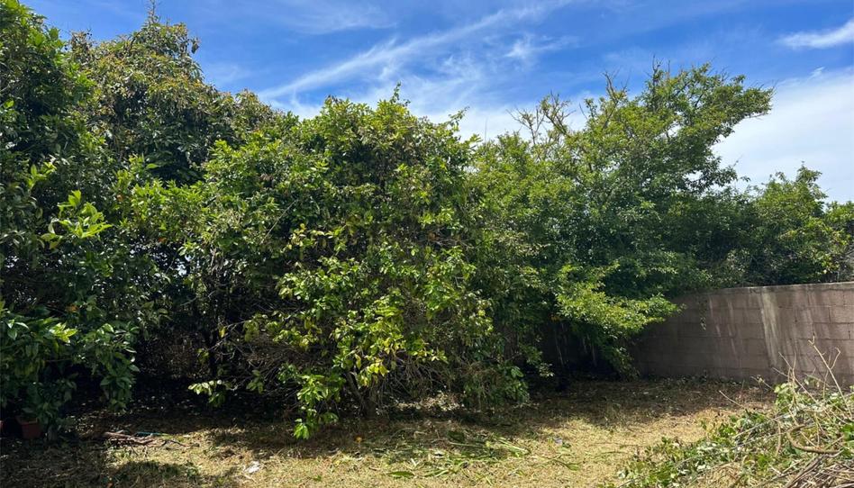 Urbanitzable en venda a Camino Los Reyes, 6, Guamasa - El Ortigal - Los Rodeos, Santa Cruz de Tenerife - imatge 1 Foto 1 de Urbanitzable en venda a Camino Los Reyes, 6, Guamasa - El Ortigal - Los Rodeos, Santa Cruz de Tenerife