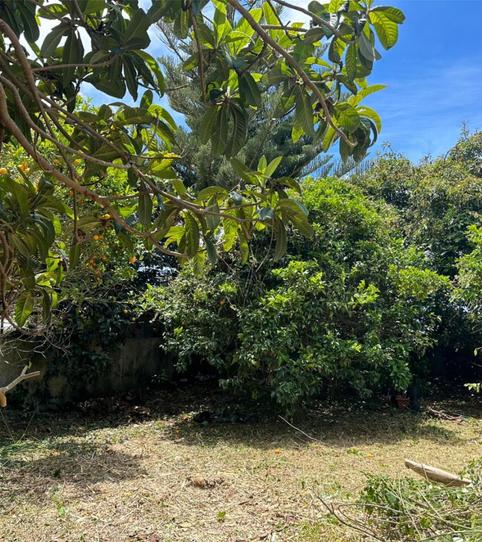 Urbanitzable en venda a Camino Los Reyes, 6, Guamasa - El Ortigal - Los Rodeos, Santa Cruz de Tenerife - imatge 2 Foto 2 de Urbanitzable en venda a Camino Los Reyes, 6, Guamasa - El Ortigal - Los Rodeos, Santa Cruz de Tenerife