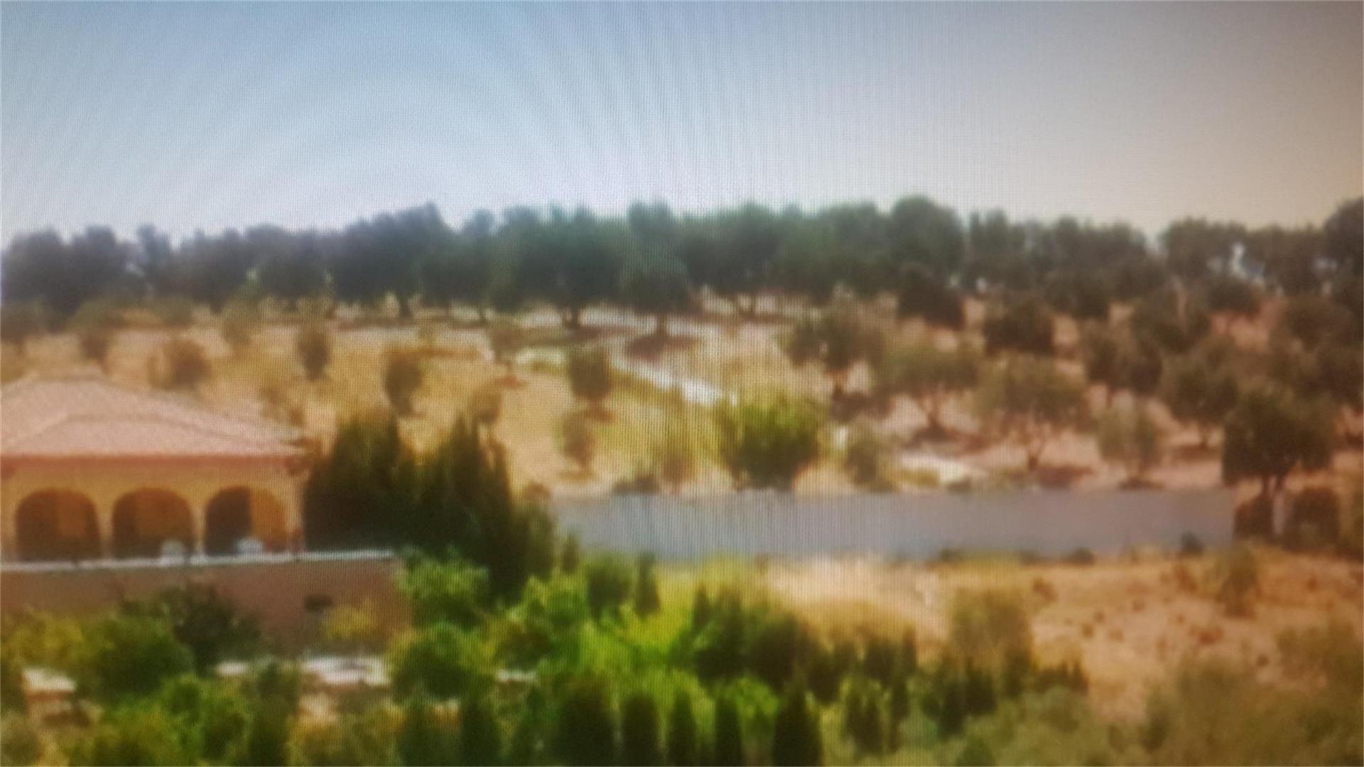 Land for sale in Montemayor