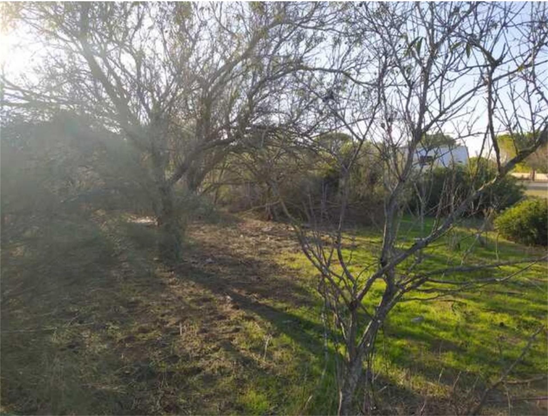 Land for sale in Puerto Real