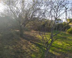 Land for sale in Puerto Real