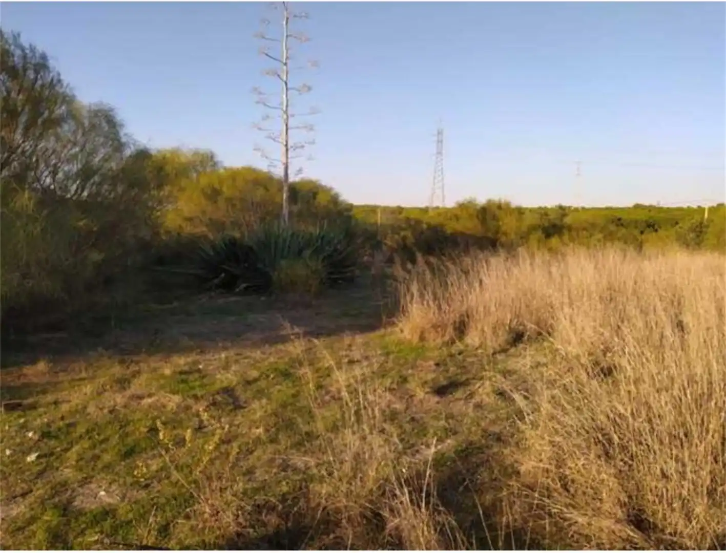Terreno en venta en Puerto Real