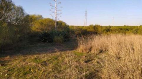 Foto 2 de Terreno en venta en Calle la Caña, Centro, Cádiz