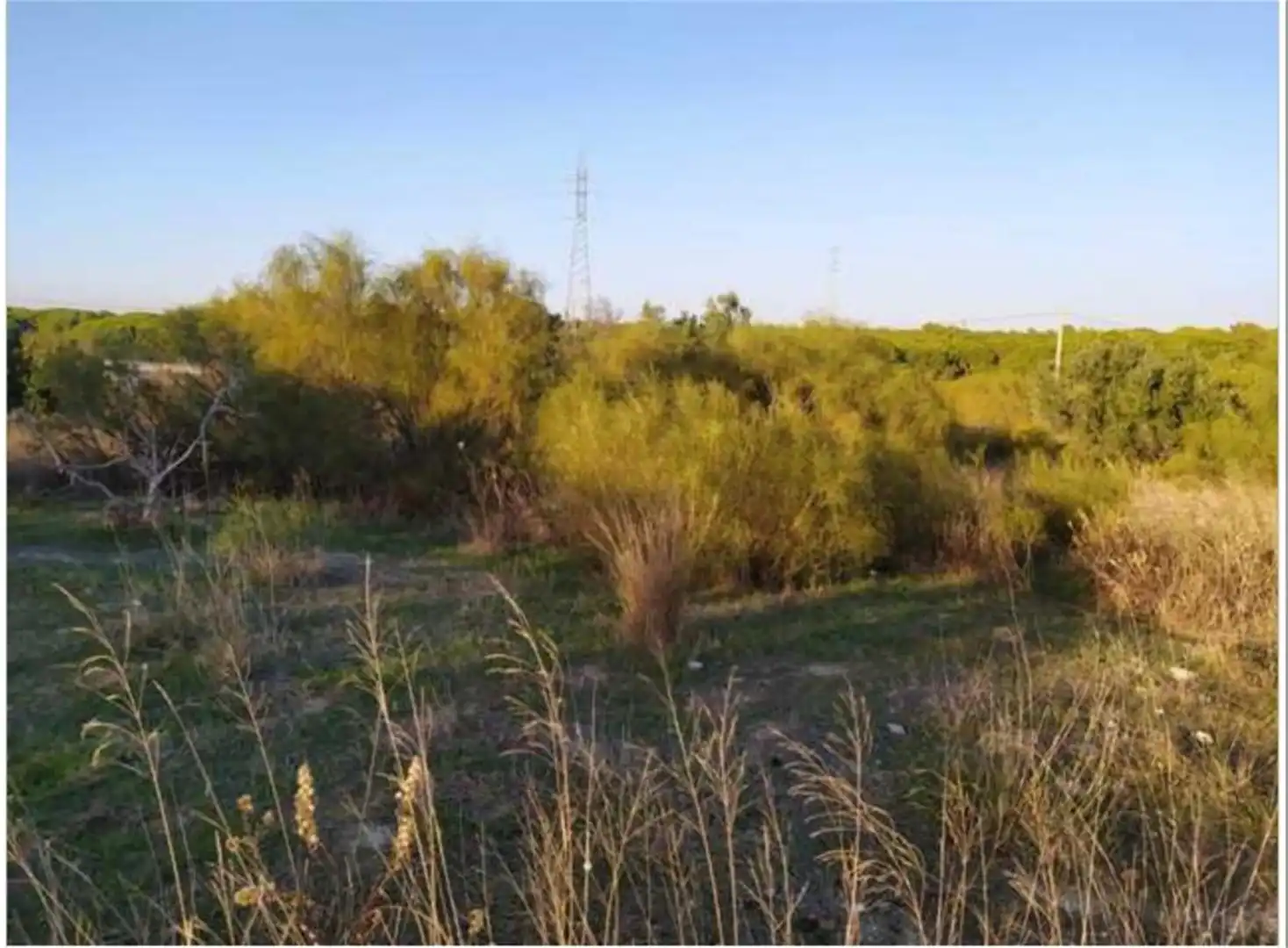 Terreno en venta en Puerto Real