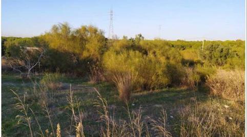 Foto 3 de Terreno en venta en Calle la Caña, Centro, Cádiz