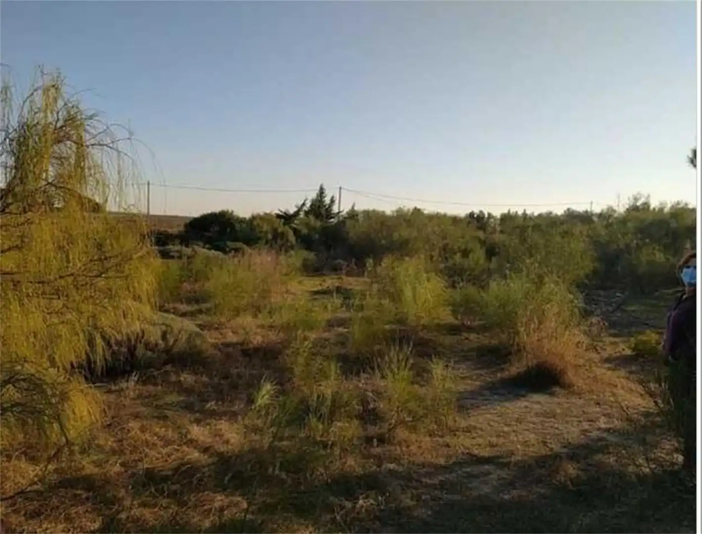 Terreno en venta en Puerto Real