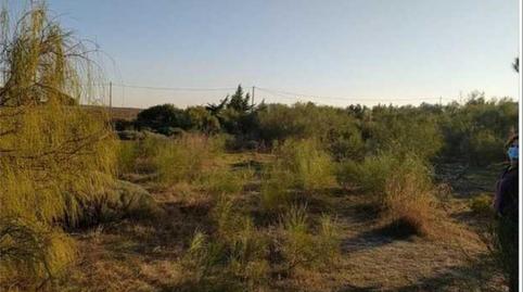 Foto 4 de Terreno en venta en Calle la Caña, Centro, Cádiz