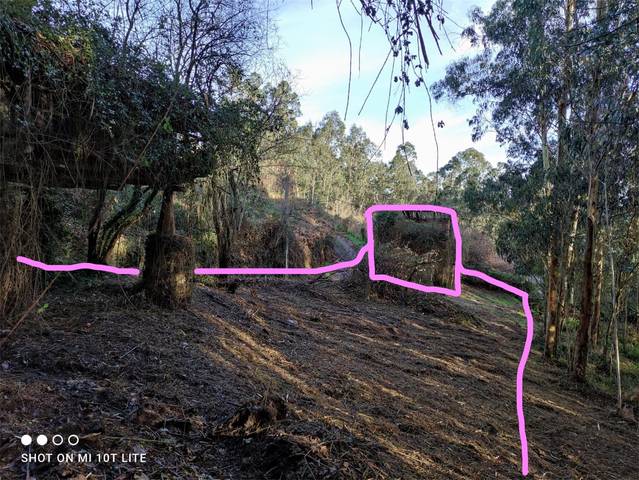 Terreno en Venta en Barrio El Castañeu en Pravia