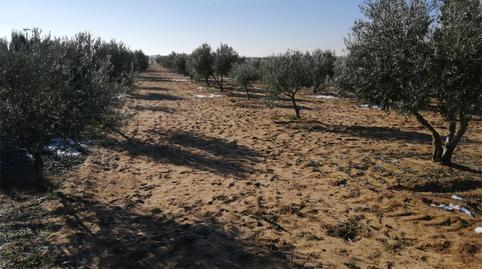 Foto 4 de No Urbanizable en venta en Plaza Santa Quitéria, Alcázar de San Juan, Ciudad Real