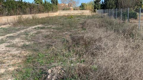 Terreno en venta en Carretera de la Ñora, 5, Rincón de Beniscornia, Murcia - imagen 5 Foto 5 de Terreno en venta en Carretera de la Ñora, 5, Rincón de Beniscornia, Murcia