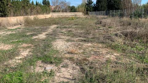 Terreno en venta en Carretera de la Ñora, 5, Rincón de Beniscornia, Murcia - imagen 3 Foto 3 de Terreno en venta en Carretera de la Ñora, 5, Rincón de Beniscornia, Murcia