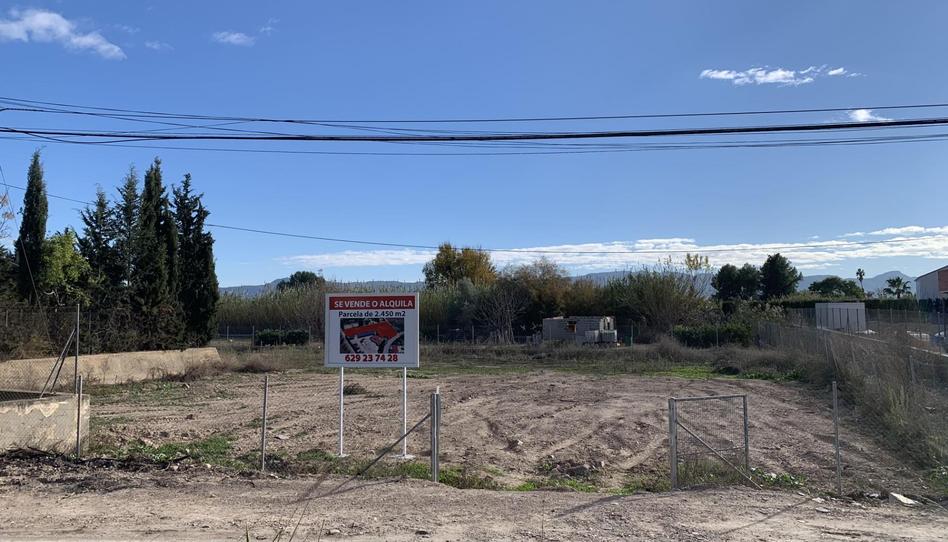Terreno en venta en Carretera de la Ñora, 5, Rincón de Beniscornia, Murcia - imagen 1 Foto 1 de Terreno en venta en Carretera de la Ñora, 5, Rincón de Beniscornia, Murcia