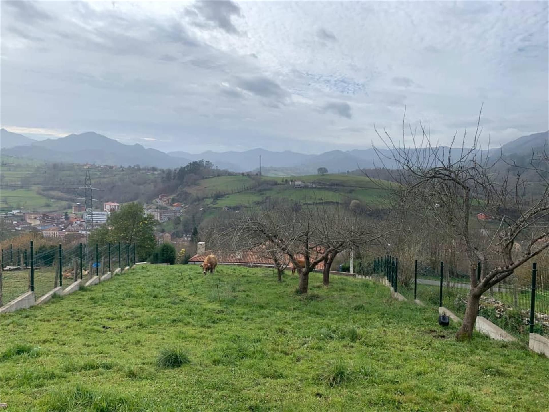 Terreno en venta en Piloña