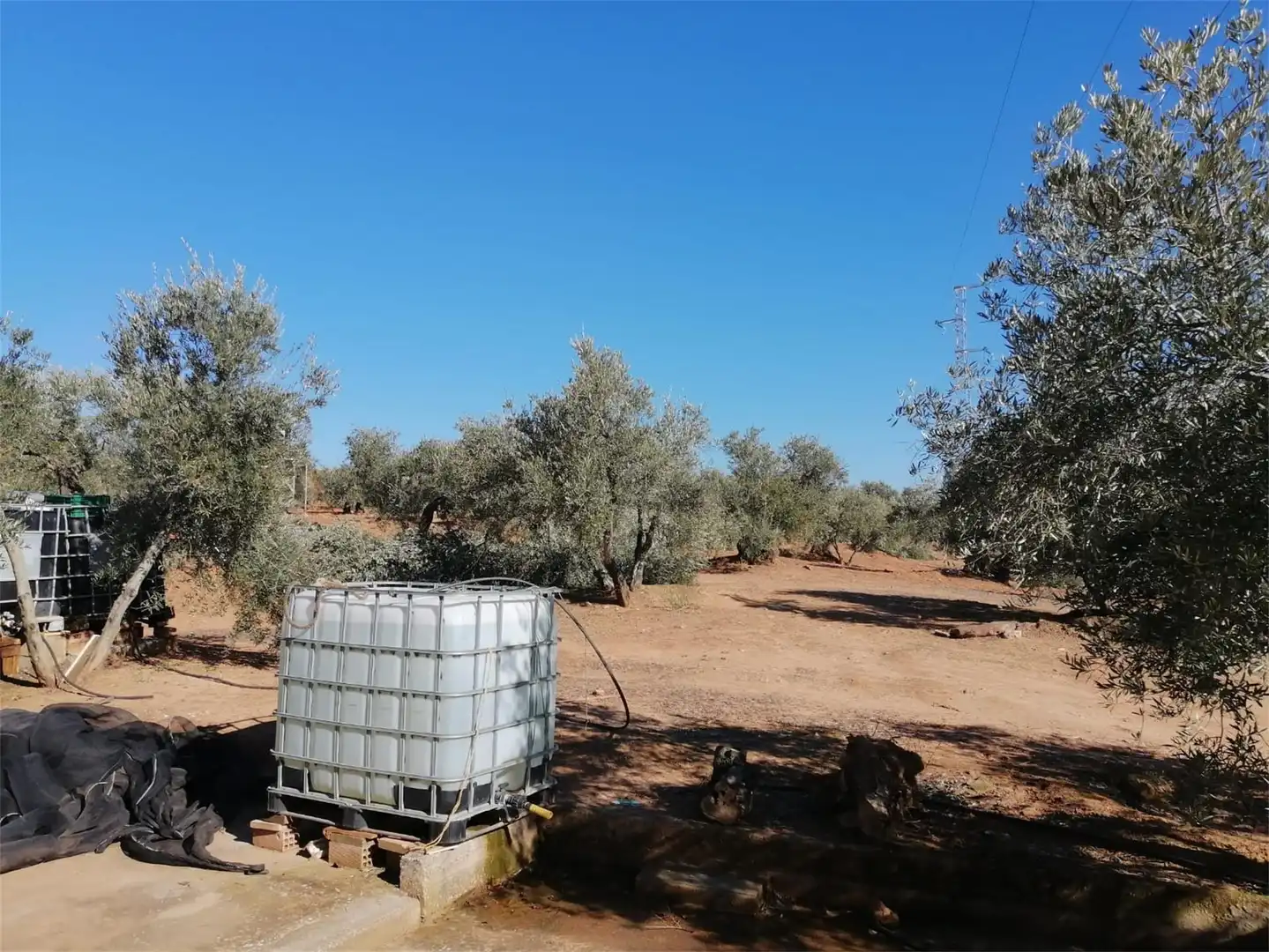 Land for sale in Calle Gamonal, Marmolejo Garden of Land for sale in Marmolejo