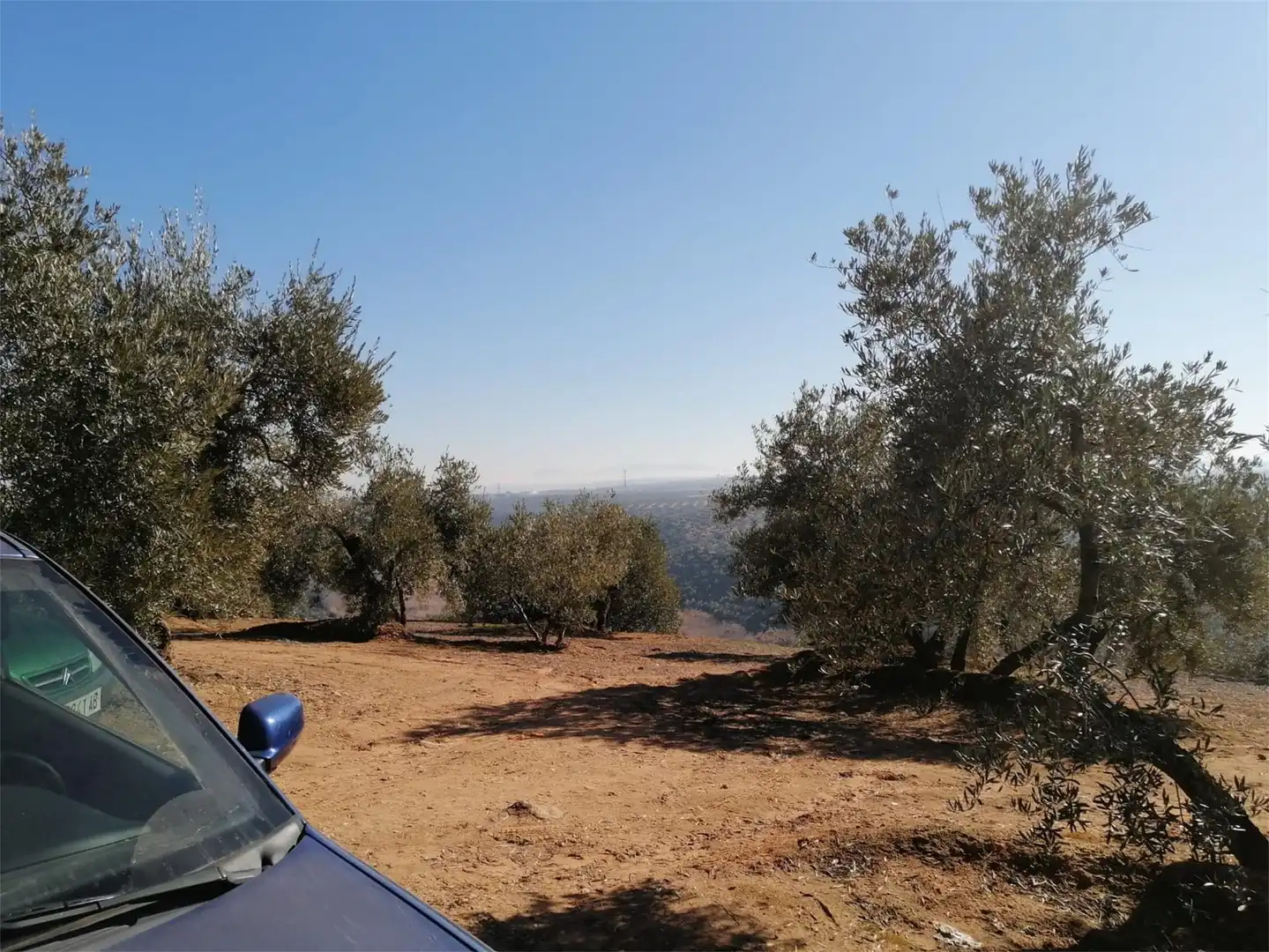 Land for sale in Calle Gamonal, Marmolejo Exterior view of Land for sale in Marmolejo