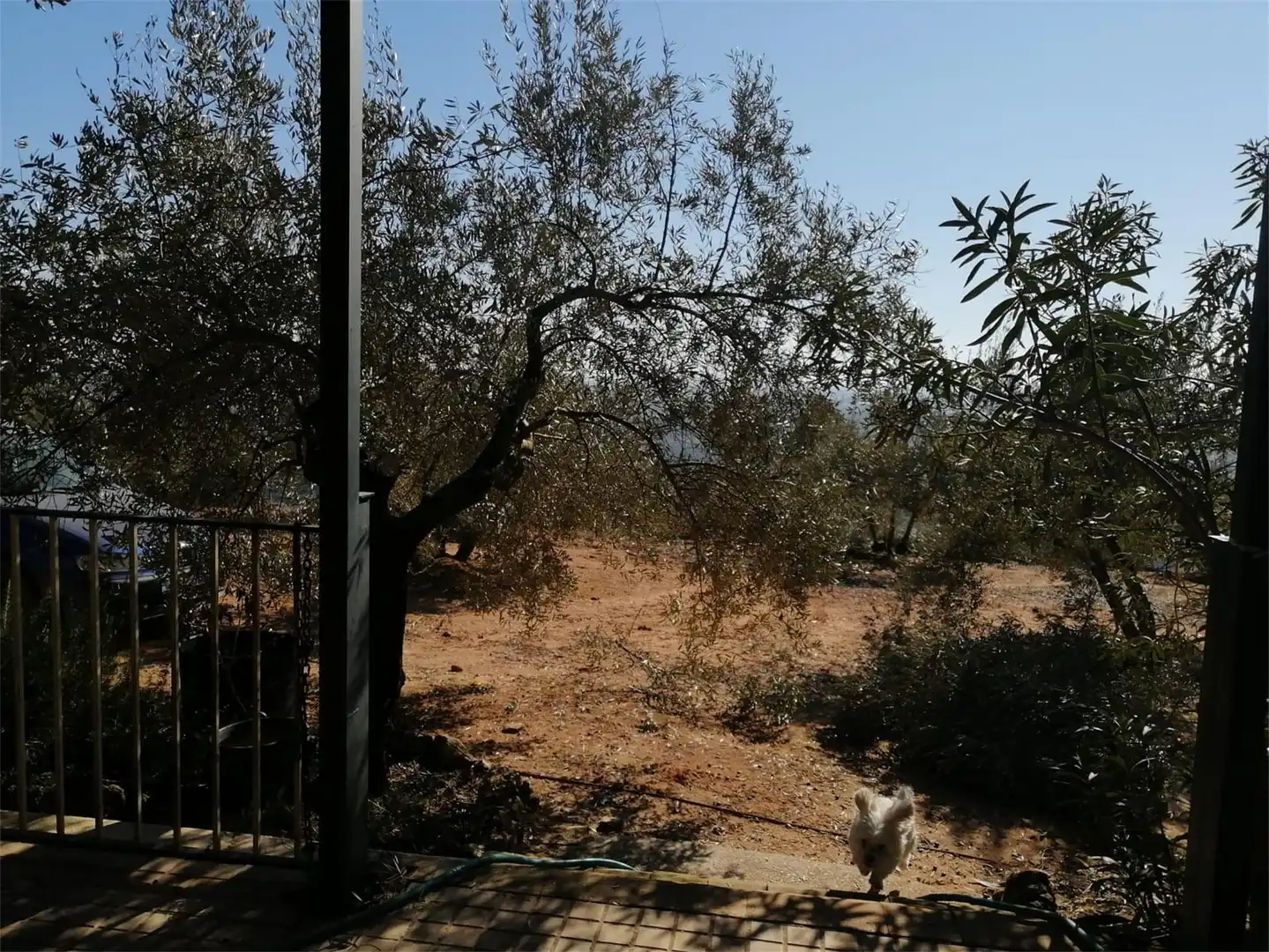 Land for sale in Calle Gamonal, Marmolejo Land for sale in Marmolejo