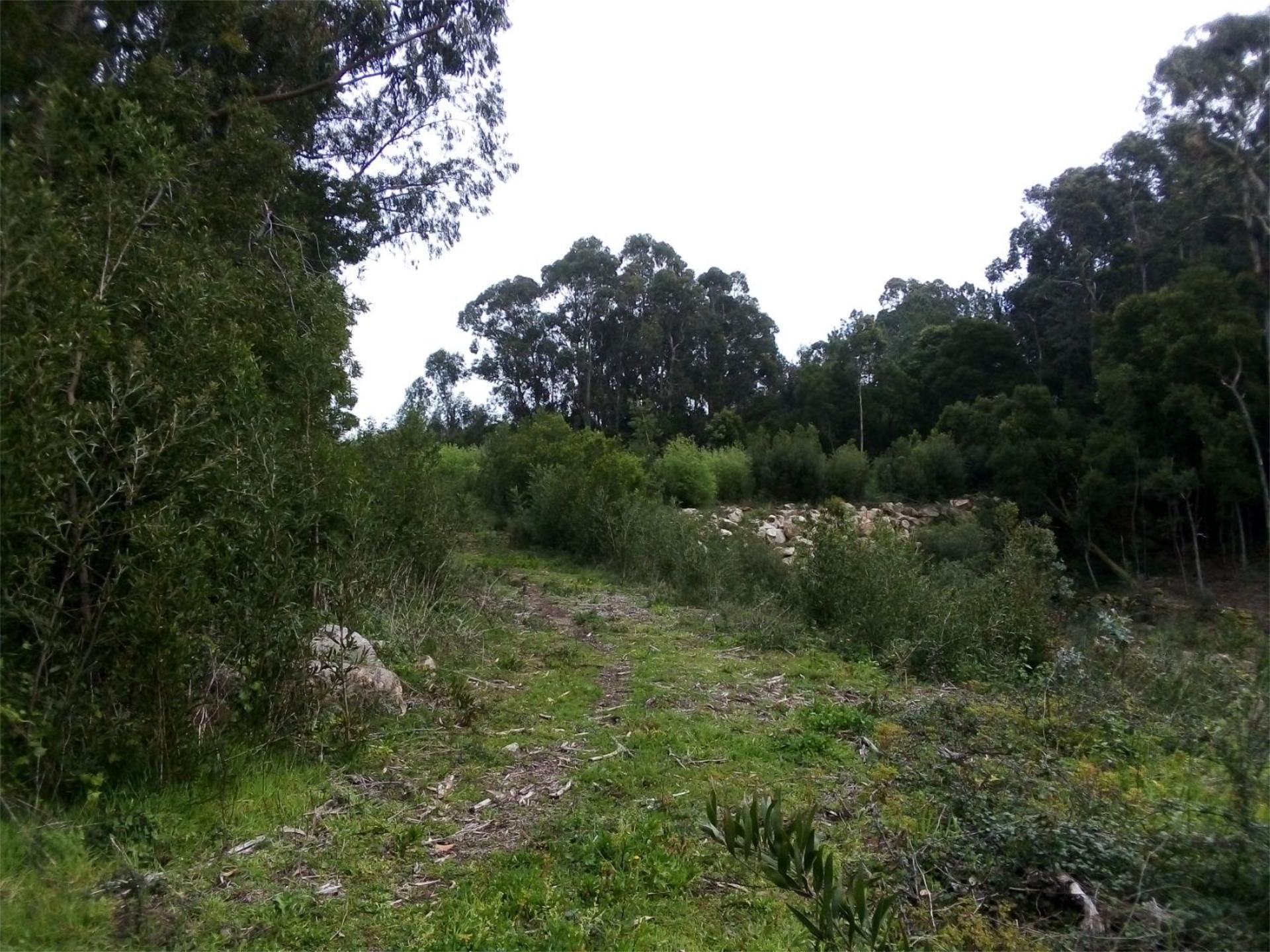 Constructible Land for sale in Baiona