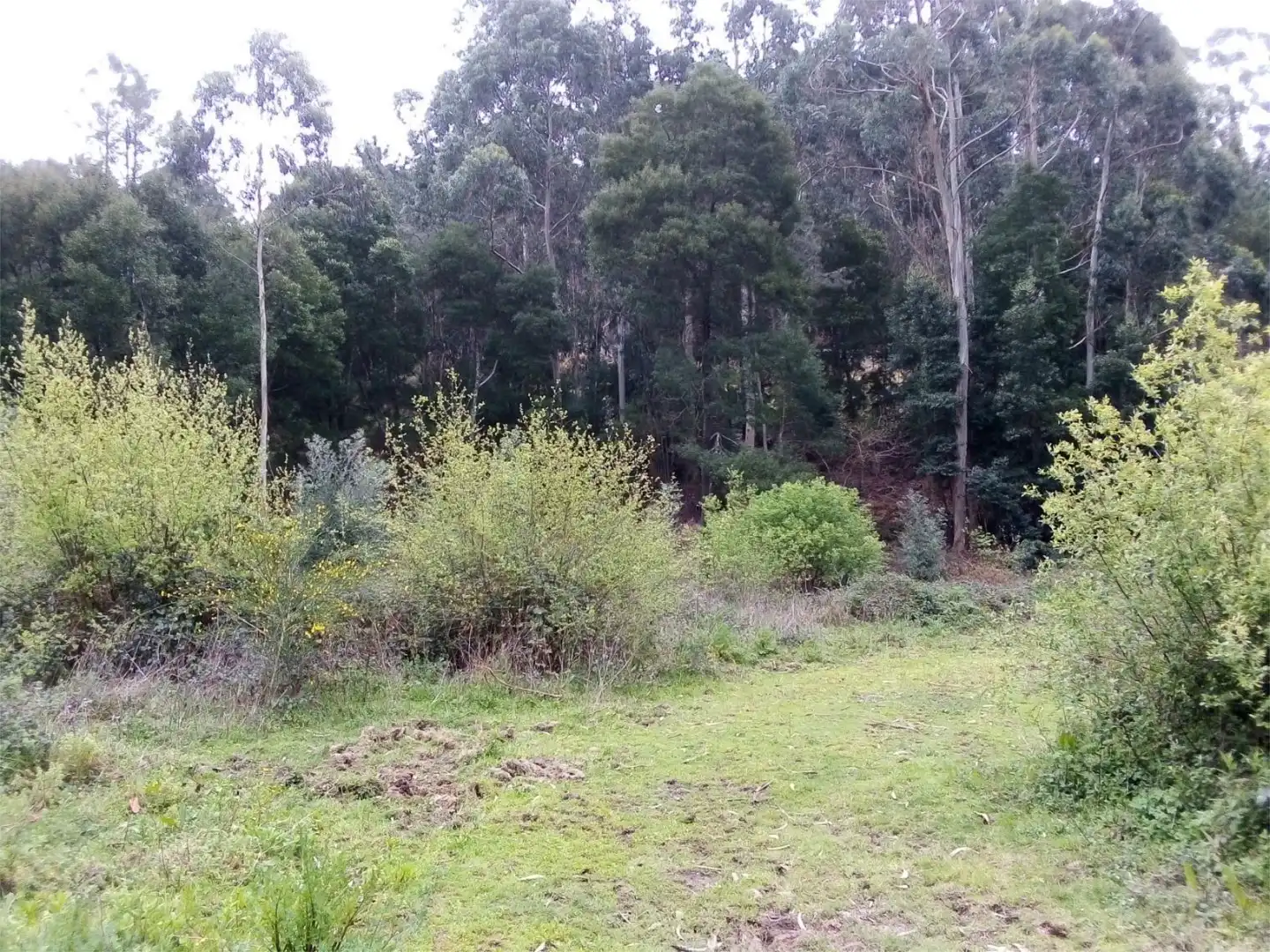 Constructible Land for sale in Lugar Cruceiro, 12, Baiona Constructible Land for sale in Baiona