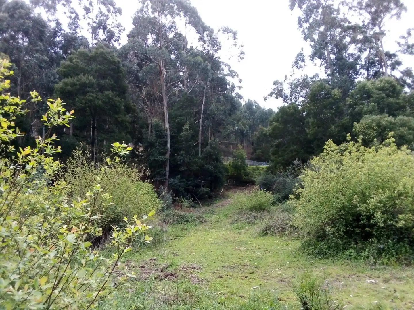 Constructible Land for sale in Lugar Cruceiro, 12, Baiona Constructible Land for sale in Baiona