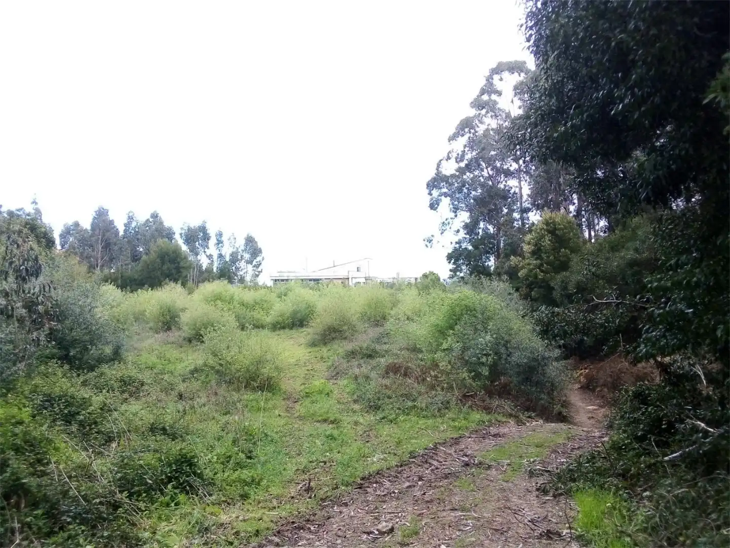 Constructible Land for sale in Lugar Cruceiro, 12, Baiona Constructible Land for sale in Baiona