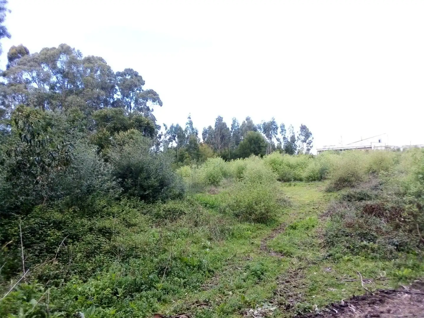 Constructible Land for sale in Lugar Cruceiro, 12, Baiona Constructible Land for sale in Baiona