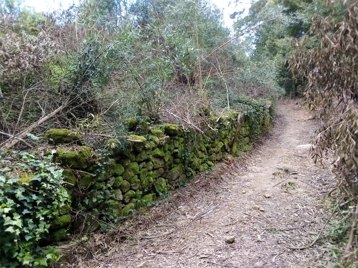 Constructible Land for sale in Lugar Cruceiro, 12, Baiona Exterior view of Constructible Land for sale in Baiona