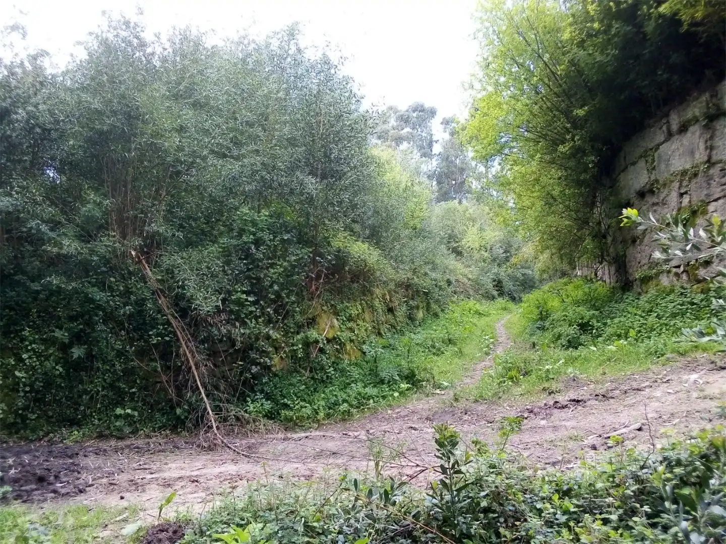 Constructible Land for sale in Lugar Cruceiro, 12, Baiona Constructible Land for sale in Baiona