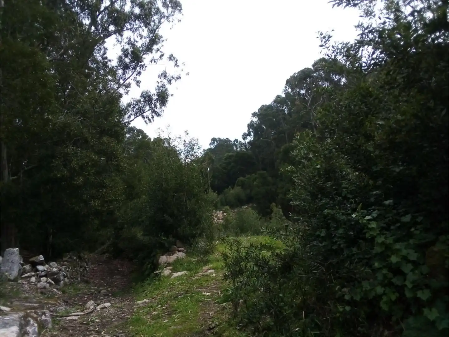 Constructible Land for sale in Lugar Cruceiro, 12, Baiona Constructible Land for sale in Baiona