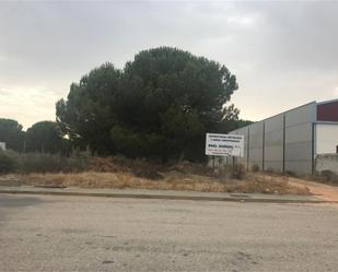 Terreny industrial en venda en Almonte