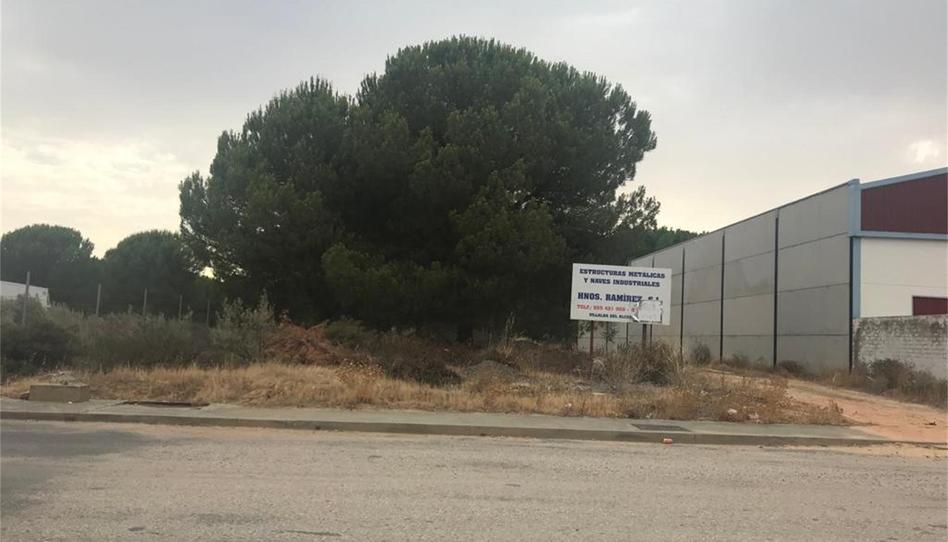 Photo 1 of Industrial land for sale in Polígono Industrial Matalagrana, Almonte ciudad, Huelva