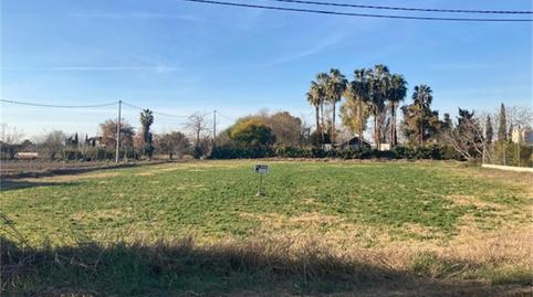 Foto 2 de Terreno en venta en Carril de Los Alonsos, Santo Angel, Murcia
