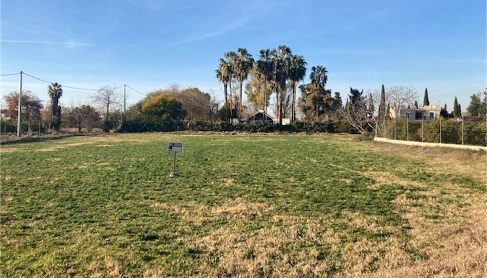 Foto 1 de Terreno en venta en Carril de Los Alonsos, Santo Angel, Murcia