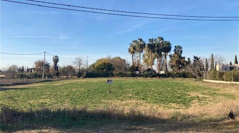 Foto 3 de Terreno en venta en Carril de Los Alonsos, Santo Angel, Murcia