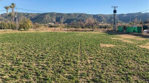 Foto 5 de Terreno en venta en Carril de Los Alonsos, Santo Angel, Murcia