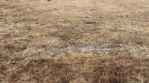 Foto 2 de Urbanizable en venta en Calle de la Cabeza, Trabanca, Salamanca