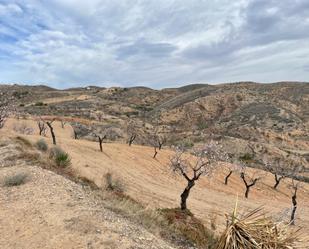 Vista exterior de No Urbanitzable en venda en Huércal-Overa