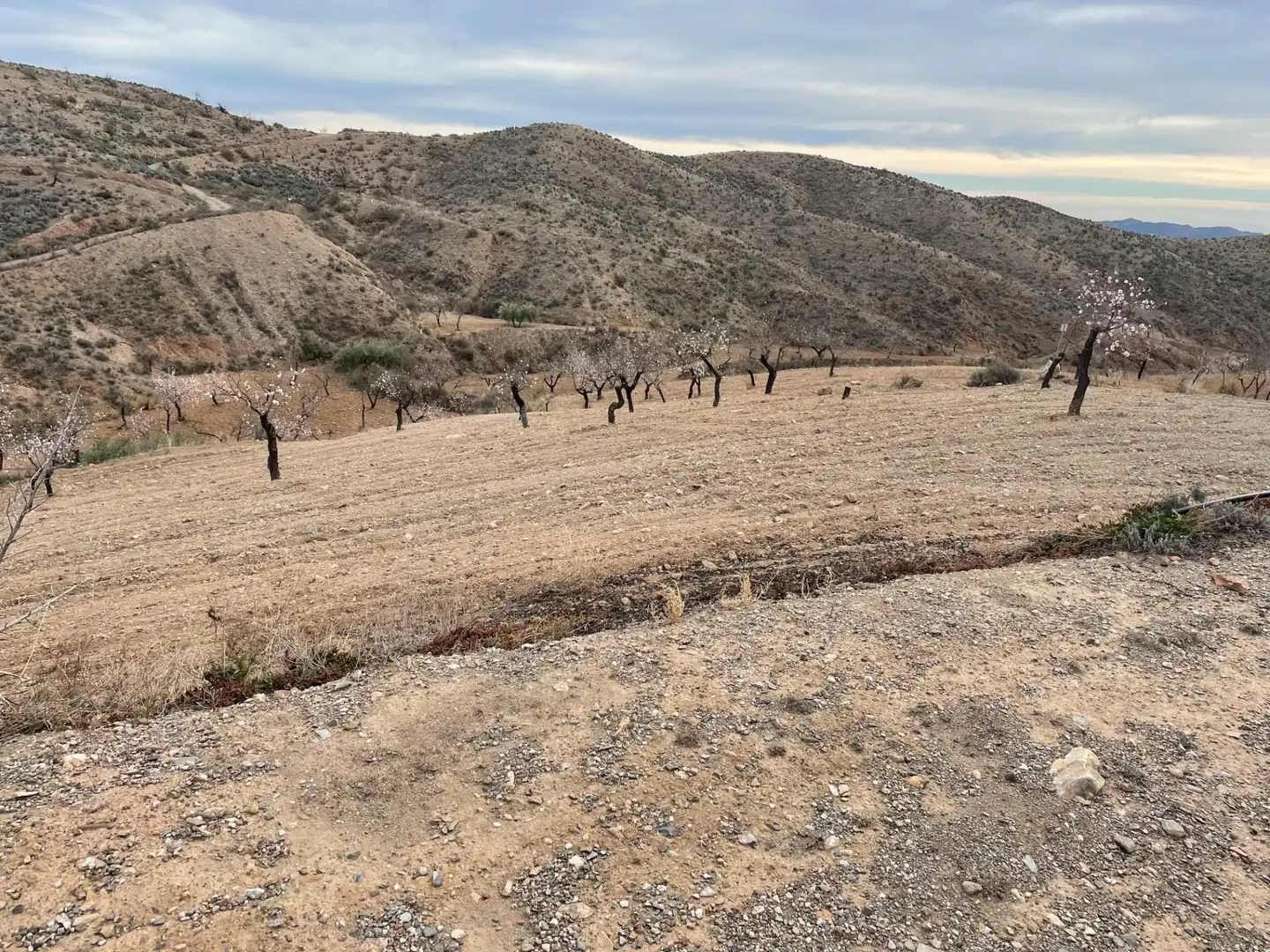 No Urbanitzable en venda a El Puertecico, Huércal-Overa No Urbanitzable en venda en Huércal-Overa