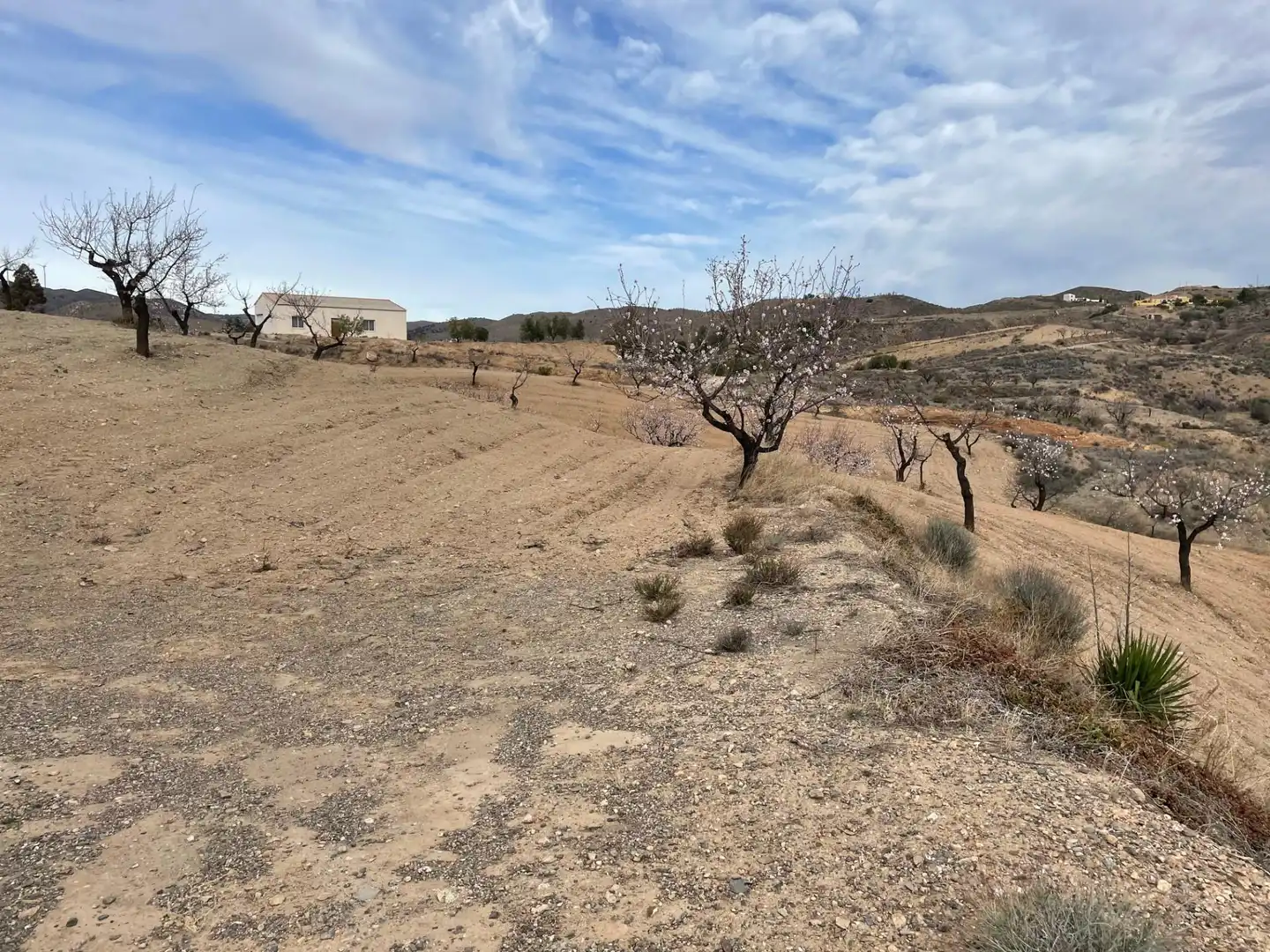 No Urbanitzable en venda a El Puertecico, Huércal-Overa No Urbanitzable en venda en Huércal-Overa