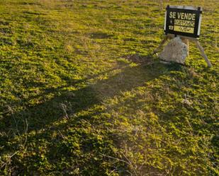 Terreny en venda a Moraleja del Vino