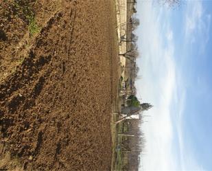 Land for sale in Preixens