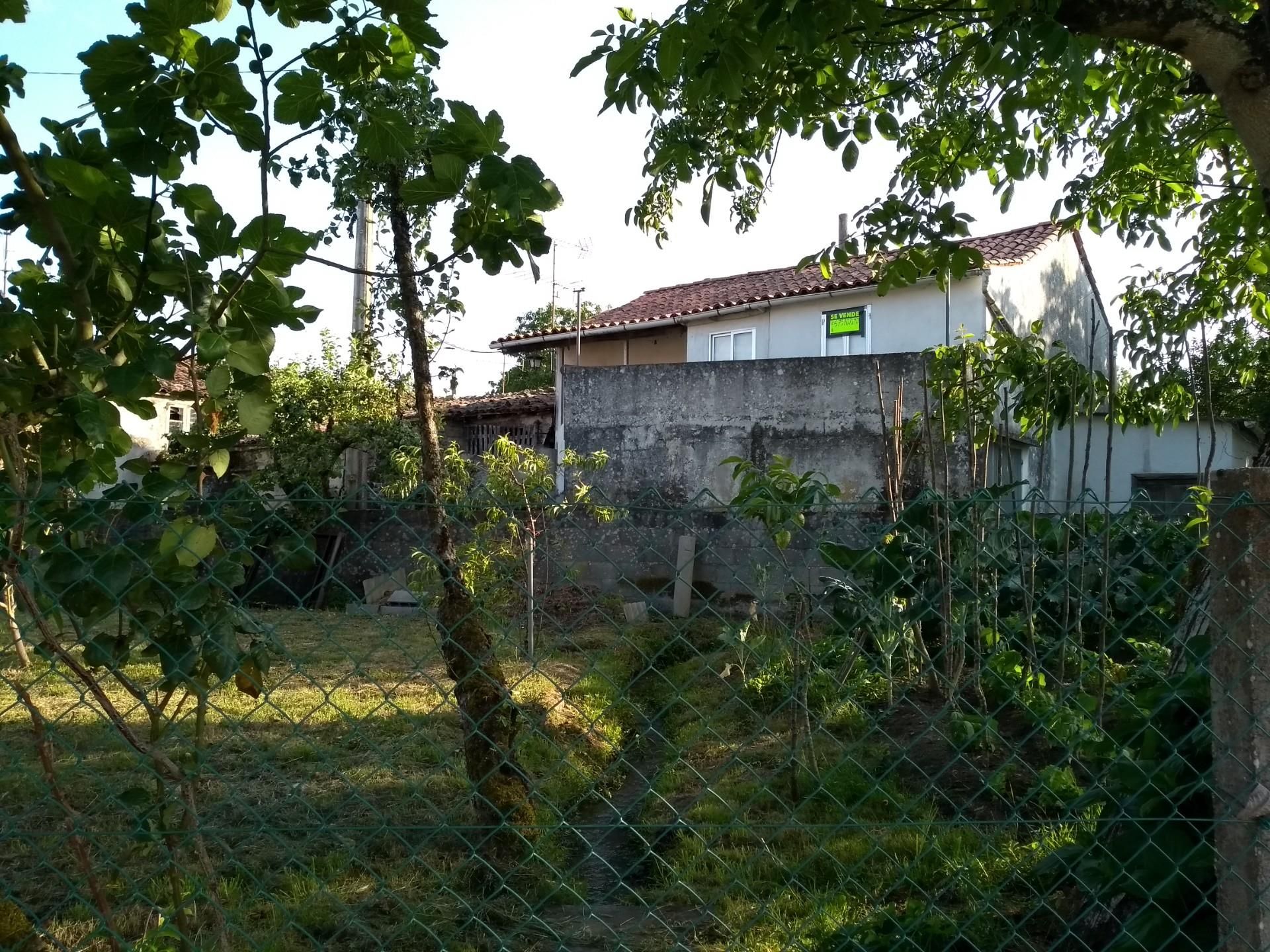 Exterior view of House or chalet for sale in Antas de Ulla