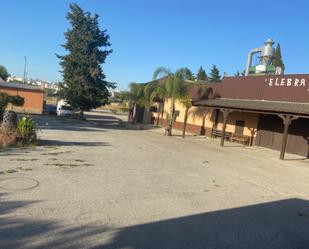 Exterior view of Industrial buildings to rent in Chiclana de la Frontera