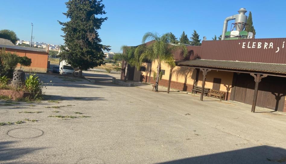 Industrial buildings to rent in Avenida Reyes Católicos, Núcleo urbano, Cádiz - image 1 Photo 1 of Industrial buildings to rent in Avenida Reyes Católicos, Núcleo urbano, Cádiz